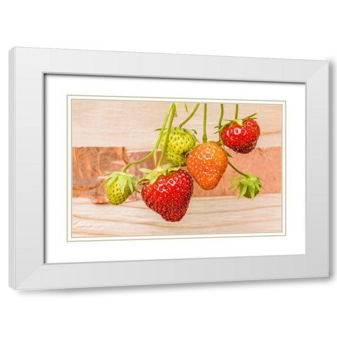 Issaquah-Washington State-USA Everbearing strawberries White Modern Wood Framed Art Print with Double Matting by Horton, Janet