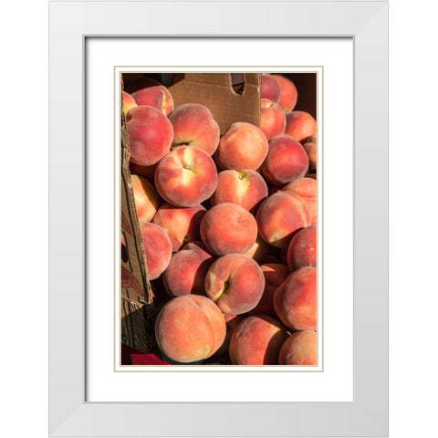 Issaquah-Washington State-USA Boxes of White Lady peaches for sale at a Farmers Market White Modern Wood Framed Art Print with Double Matting by Horton, Janet