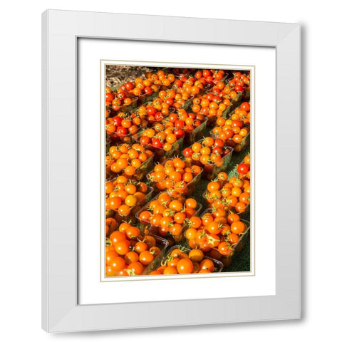Issaquah-Washington State-USA Pints of cherry tomatoes for sale at a Farmers Market White Modern Wood Framed Art Print with Double Matting by Horton, Janet