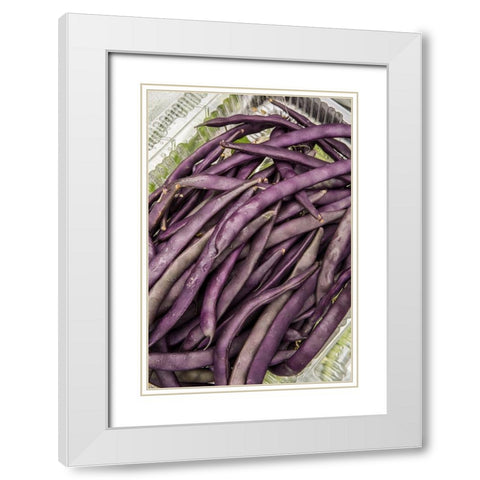 Bellevue-Washington State-USA Freshly harvested Violet Podded Stringless pole beans White Modern Wood Framed Art Print with Double Matting by Horton, Janet