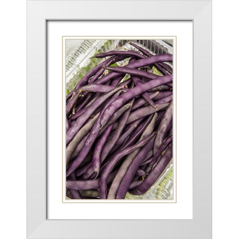 Bellevue-Washington State-USA Freshly harvested Violet Podded Stringless pole beans White Modern Wood Framed Art Print with Double Matting by Horton, Janet