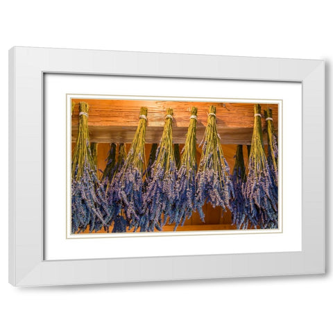 San Juan Island-Washington State-USA Bunches of lavender hung to dry White Modern Wood Framed Art Print with Double Matting by Horton, Janet