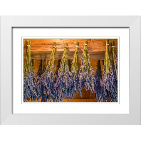 San Juan Island-Washington State-USA Bunches of lavender hung to dry White Modern Wood Framed Art Print with Double Matting by Horton, Janet