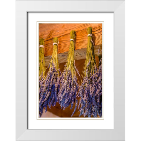 San Juan Island-Washington State-USA Bunches of lavender hung to dry White Modern Wood Framed Art Print with Double Matting by Horton, Janet