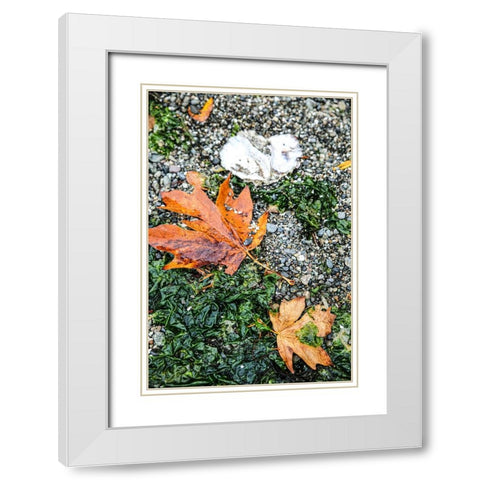 Kitsap Peninsula-Seabeck-Washington State White Modern Wood Framed Art Print with Double Matting by Sienda, Jolly