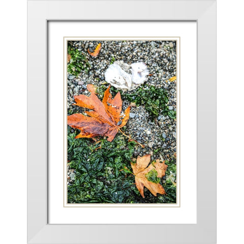 Kitsap Peninsula-Seabeck-Washington State White Modern Wood Framed Art Print with Double Matting by Sienda, Jolly