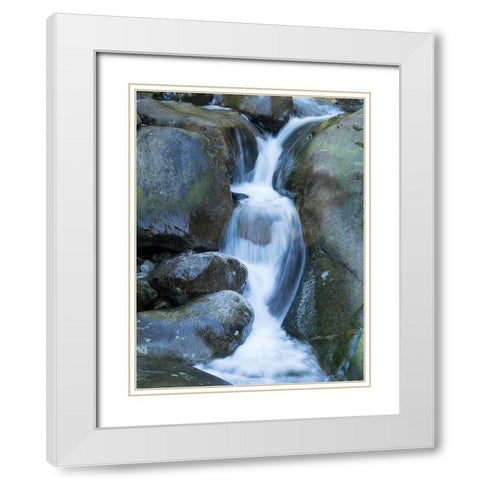 Washington State Central Cascades-Martin Creek Falls White Modern Wood Framed Art Print with Double Matting by Wild, Jamie and Judy