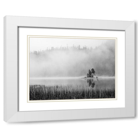 Washington State Alpine Lakes Wilderness-Snow Lake-island and fog White Modern Wood Framed Art Print with Double Matting by Wild, Jamie and Judy