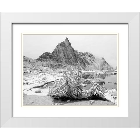 Alpine Lakes Wilderness-Enchantment Lakes-snow covered larch trees-with Prusik Peak White Modern Wood Framed Art Print with Double Matting by Wild, Jamie and Judy