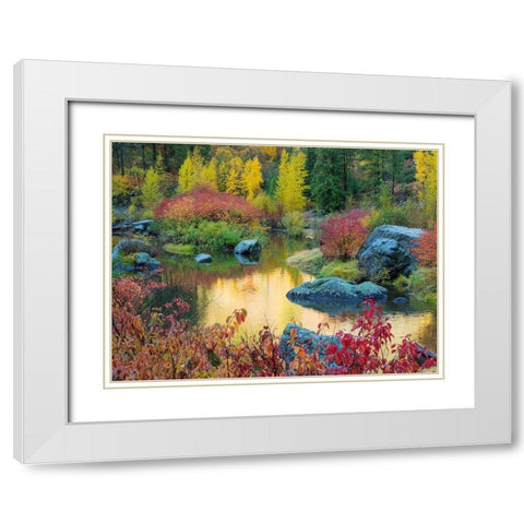 WA-Tumwater Canyon-Autumn reflection White Modern Wood Framed Art Print with Double Matting by Wild, Jamie and Judy