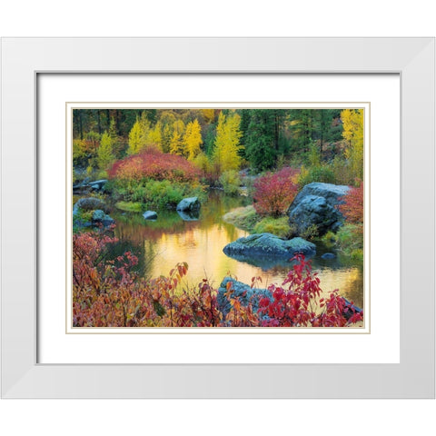 WA-Tumwater Canyon-Autumn reflection White Modern Wood Framed Art Print with Double Matting by Wild, Jamie and Judy