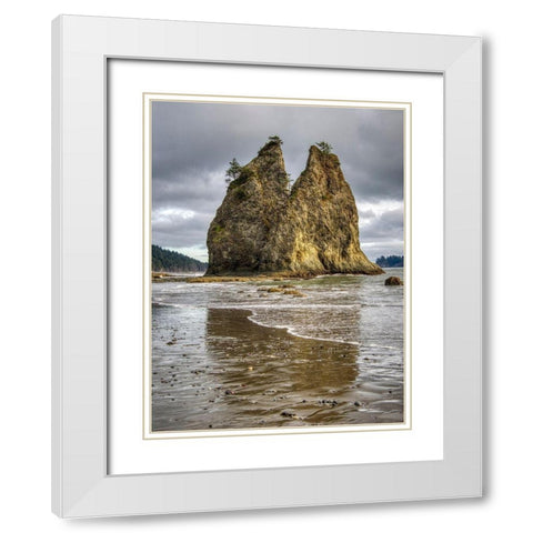 WA-Olympic National Park-Rialto Beach-Seastack and stormy sky White Modern Wood Framed Art Print with Double Matting by Wild, Jamie and Judy