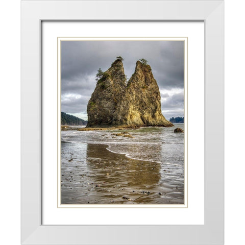 WA-Olympic National Park-Rialto Beach-Seastack and stormy sky White Modern Wood Framed Art Print with Double Matting by Wild, Jamie and Judy