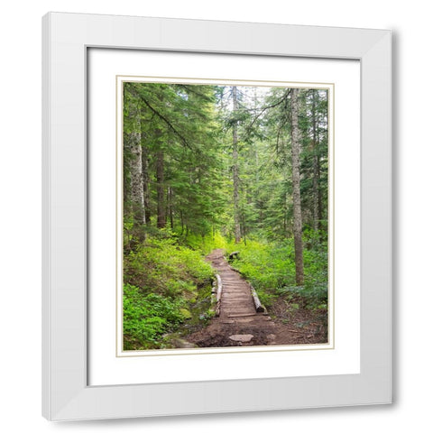 Washington State-Central Cascades-Trail to Pratt Ridge White Modern Wood Framed Art Print with Double Matting by Wild, Jamie and Judy