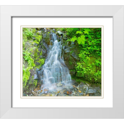 Washington State-Central Cascades-Waterfall-on trail to Annette Lake White Modern Wood Framed Art Print with Double Matting by Wild, Jamie and Judy