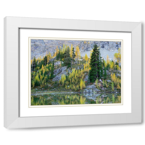 Washington State-North Cascades-Alpine Pond with Larch and Fir trees White Modern Wood Framed Art Print with Double Matting by Wild, Jamie and Judy