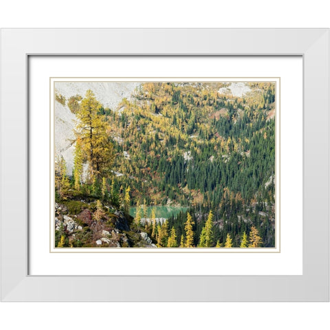 Washington State-North Cascades-Lewis Lake-view from Heather Pass White Modern Wood Framed Art Print with Double Matting by Wild, Jamie and Judy