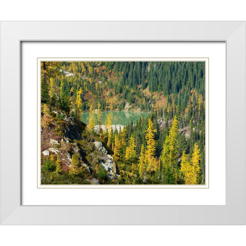Washington State-North Cascades-Lewis Lake-view from Heather Pass White Modern Wood Framed Art Print with Double Matting by Wild, Jamie and Judy