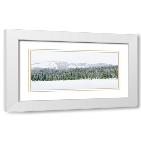 Washington State-Central Cascades Winter at frozen Olallie Lake White Modern Wood Framed Art Print with Double Matting by Wild, Jamie and Judy