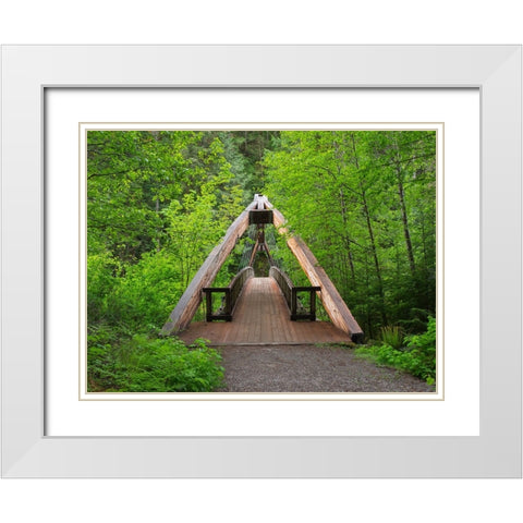 Washington State-Central Cascades Footbridge-over Middle Fork Snoqualmie River White Modern Wood Framed Art Print with Double Matting by Wild, Jamie and Judy