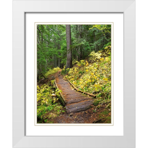 Washington State-Central Cascades Trail to Olallie Lake-old wooden section White Modern Wood Framed Art Print with Double Matting by Wild, Jamie and Judy