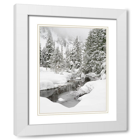 Washington State- Central Cascades. Granite Creek winter scene White Modern Wood Framed Art Print with Double Matting by Wild, Jamie and Judy
