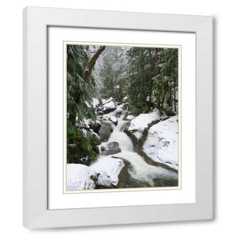 Washington State- Central Cascades. Martin Creek White Modern Wood Framed Art Print with Double Matting by Wild, Jamie and Judy