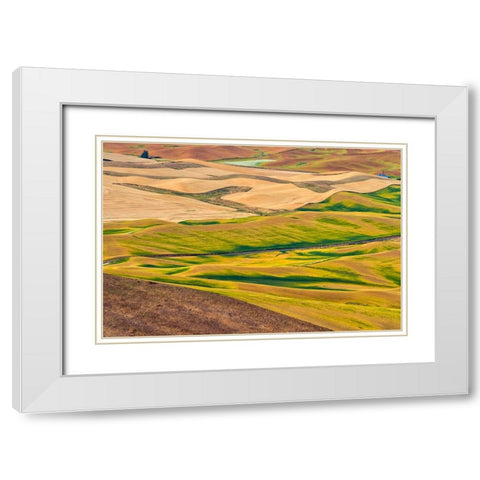 Landscape of rolling wheat field-Palouse-Washington State-USA White Modern Wood Framed Art Print with Double Matting by Su, Keren
