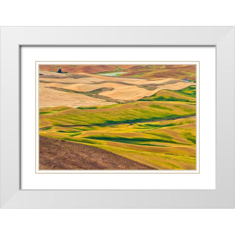Landscape of rolling wheat field-Palouse-Washington State-USA White Modern Wood Framed Art Print with Double Matting by Su, Keren