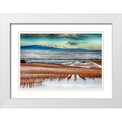 Washington State-Pasco Winter on Sagemoor Vineyard with the Columbia River White Modern Wood Framed Art Print with Double Matting by Duval, Richard