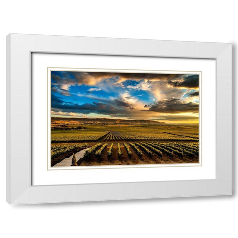 Washington State-Red Mountain Red Mountain vineyards at dusk with dramatic sky White Modern Wood Framed Art Print with Double Matting by Duval, Richard