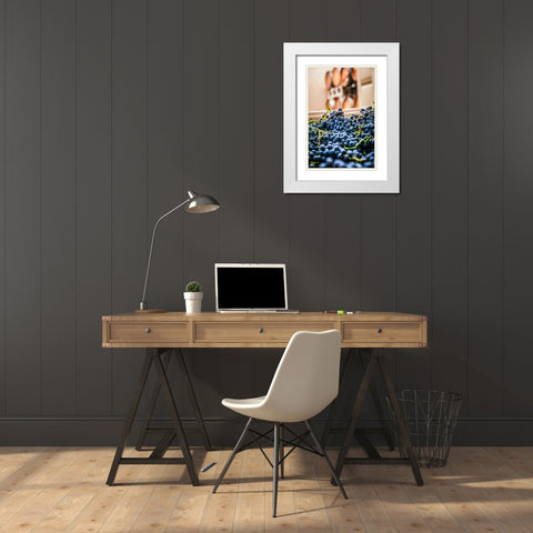 Washington State-Woodinville Clusters of Cabernet Sauvignon sit in bins in a winery White Modern Wood Framed Art Print with Double Matting by Duval, Richard