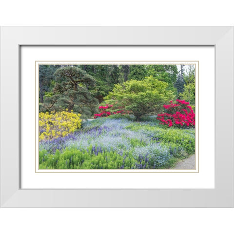 Washington State-Seattle Kubota Garden White Modern Wood Framed Art Print with Double Matting by Tilley, Rob