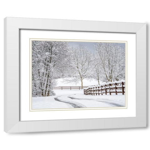 Washington State-Fall City-fresh snow on trees and fence and snow covered road White Modern Wood Framed Art Print with Double Matting by Gulin, Sylvia
