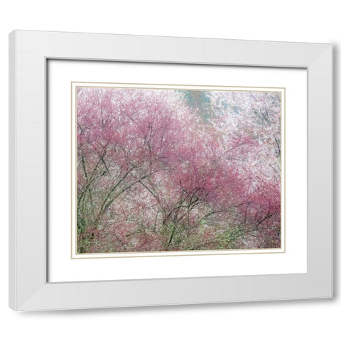 Washington State-Fall City springtime and cherry trees just beginning to bloom White Modern Wood Framed Art Print with Double Matting by Gulin, Sylvia