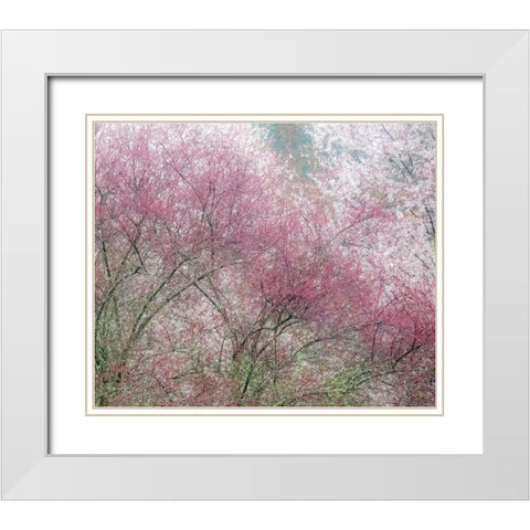 Washington State-Fall City springtime and cherry trees just beginning to bloom White Modern Wood Framed Art Print with Double Matting by Gulin, Sylvia