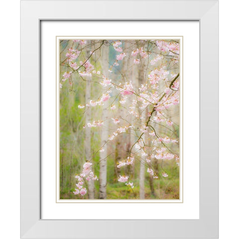Washington State-Fall City springtime and cherry trees just beginning to bloom White Modern Wood Framed Art Print with Double Matting by Gulin, Sylvia