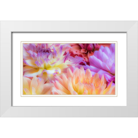 Washington State-Sammamish Dahlia flower design and patterns White Modern Wood Framed Art Print with Double Matting by Gulin, Sylvia