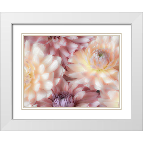 Washington State-Sammamish Dahlia flower design and patterns White Modern Wood Framed Art Print with Double Matting by Gulin, Sylvia