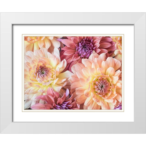 Washington State-Sammamish Dahlia flower design and patterns White Modern Wood Framed Art Print with Double Matting by Gulin, Sylvia
