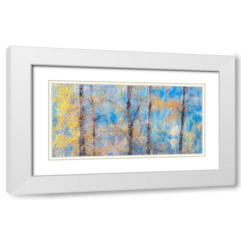 Washington State-Preston with Cottonwood trees springtime leafing out White Modern Wood Framed Art Print with Double Matting by Gulin, Sylvia