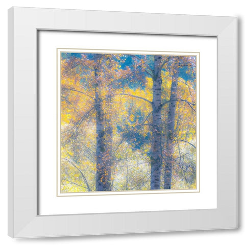 Washington State-Preston with Cottonwood trees springtime leafing out White Modern Wood Framed Art Print with Double Matting by Gulin, Sylvia
