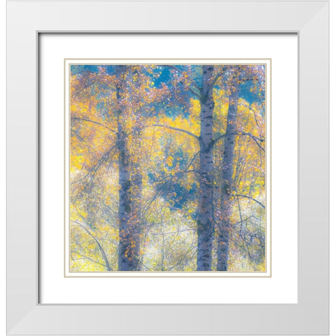 Washington State-Preston with Cottonwood trees springtime leafing out White Modern Wood Framed Art Print with Double Matting by Gulin, Sylvia