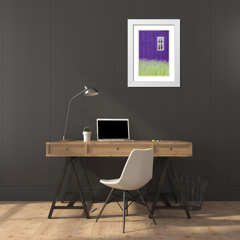 Sequim-Washington State-field of Lavender and Lavender painted wood barn and white framed window White Modern Wood Framed Art Print with Double Matting by Gulin, Sylvia