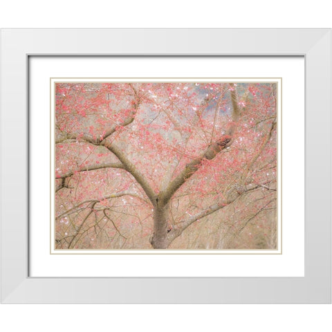 Washington State-Fall City springtime and cherry trees just beginning to bloom White Modern Wood Framed Art Print with Double Matting by Gulin, Sylvia