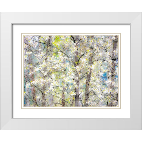 Washington State-Fall City springtime with blooming cherry trees and cottonwood trees White Modern Wood Framed Art Print with Double Matting by Gulin, Sylvia