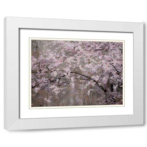 USA-Washington State-Fall City-Springtime cherry trees blooming along Snoqualmie River White Modern Wood Framed Art Print with Double Matting by Gulin, Sylvia