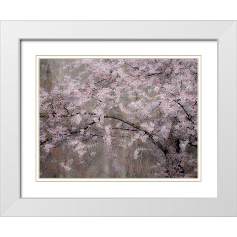 USA-Washington State-Fall City-Springtime cherry trees blooming along Snoqualmie River White Modern Wood Framed Art Print with Double Matting by Gulin, Sylvia