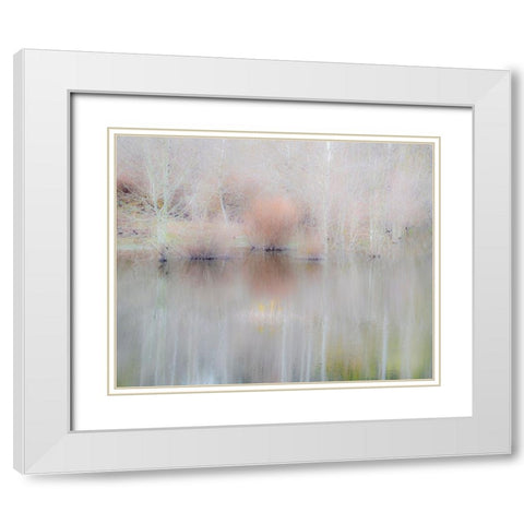USA-Washington State-Sammamish springtime and alder trees and their reflections in small pond White Modern Wood Framed Art Print with Double Matting by Gulin, Sylvia