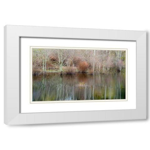 USA-Washington State-Sammamish springtime and alder trees and their reflections in small pond White Modern Wood Framed Art Print with Double Matting by Gulin, Sylvia